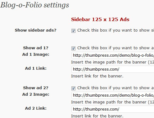Admin-options in Freebie: Blog-O-Folio WordPress Theme Version 1.0
