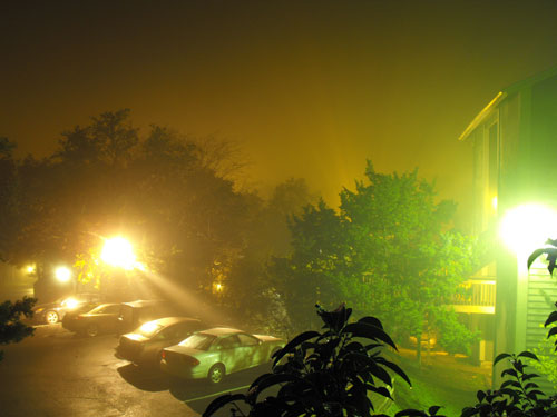 F19 in Showcase of Fabulous Foggy Photographs for Your Inspiration