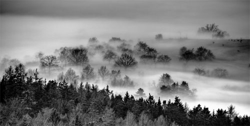Fog21 in Showcase of Fabulous Foggy Photographs for Your Inspiration
