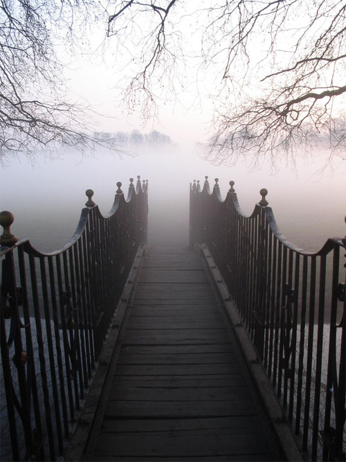 Fog44 in Showcase of Fabulous Foggy Photographs for Your Inspiration
