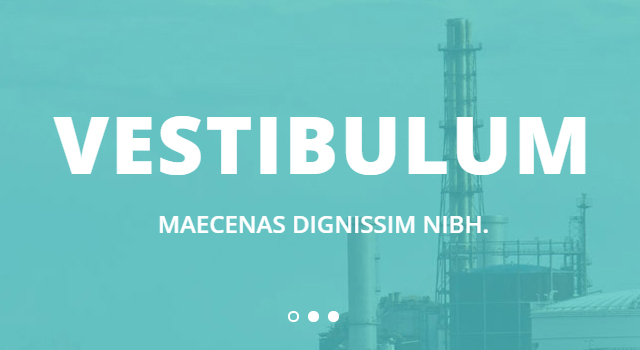 Rissner: Industrial-suited Flat Bootstrap Template