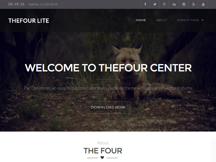 TheFour