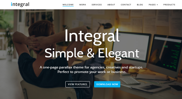 Integral: Elegant Agency WordPress Theme