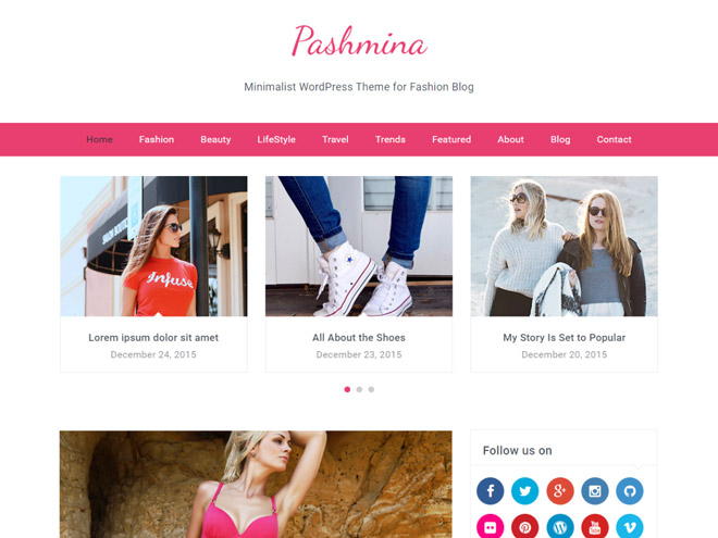 pashmina-wordpress-theme