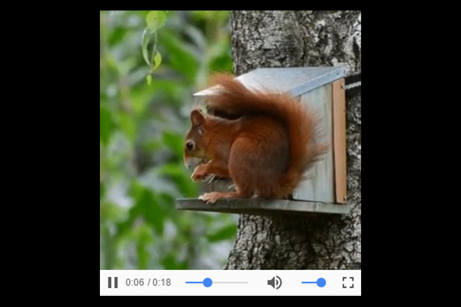 Animation as an HTML5-Video