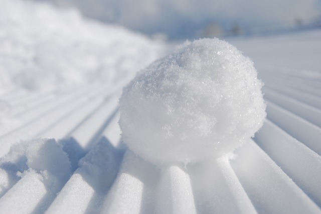 snowball-957759_640