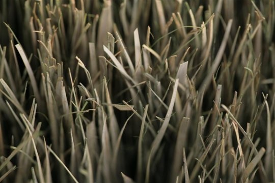 Dried Grass Textures