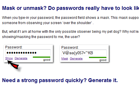 A rich password widget for your web forms