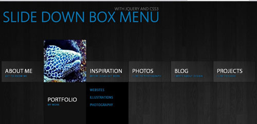 Slide Down Box Menu with jQuery and CSS3