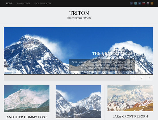 Triton Lite WordPress Theme