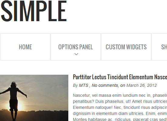 Simple WordPress Theme