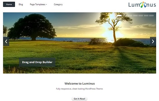 Luminus – Responsive WordPress