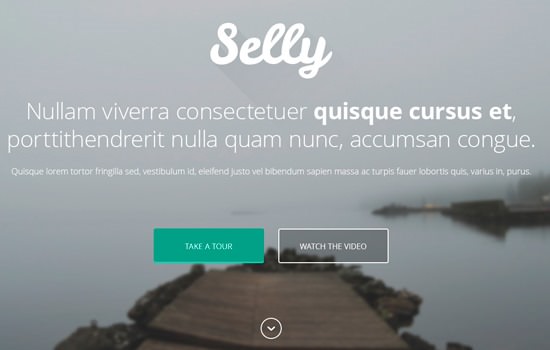 Selly Landing Page