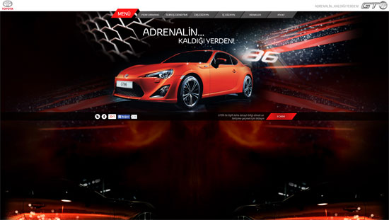 Toyota Promotional Site