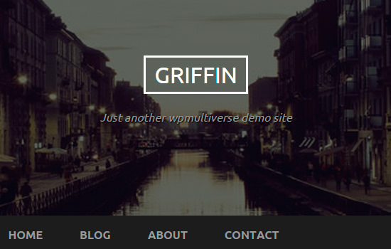 Griffin wordpress themes