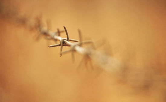barbed-wire-438185_640