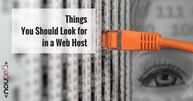 Things You Should Look for in a Web Host