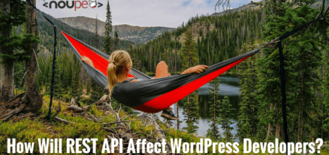 How Will REST API Affect WordPress Developers?