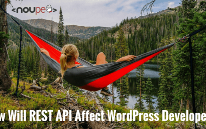 How Will REST API Affect WordPress Developers?