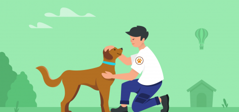 how to start an animal rescue