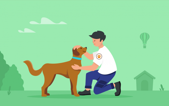 how to start an animal rescue