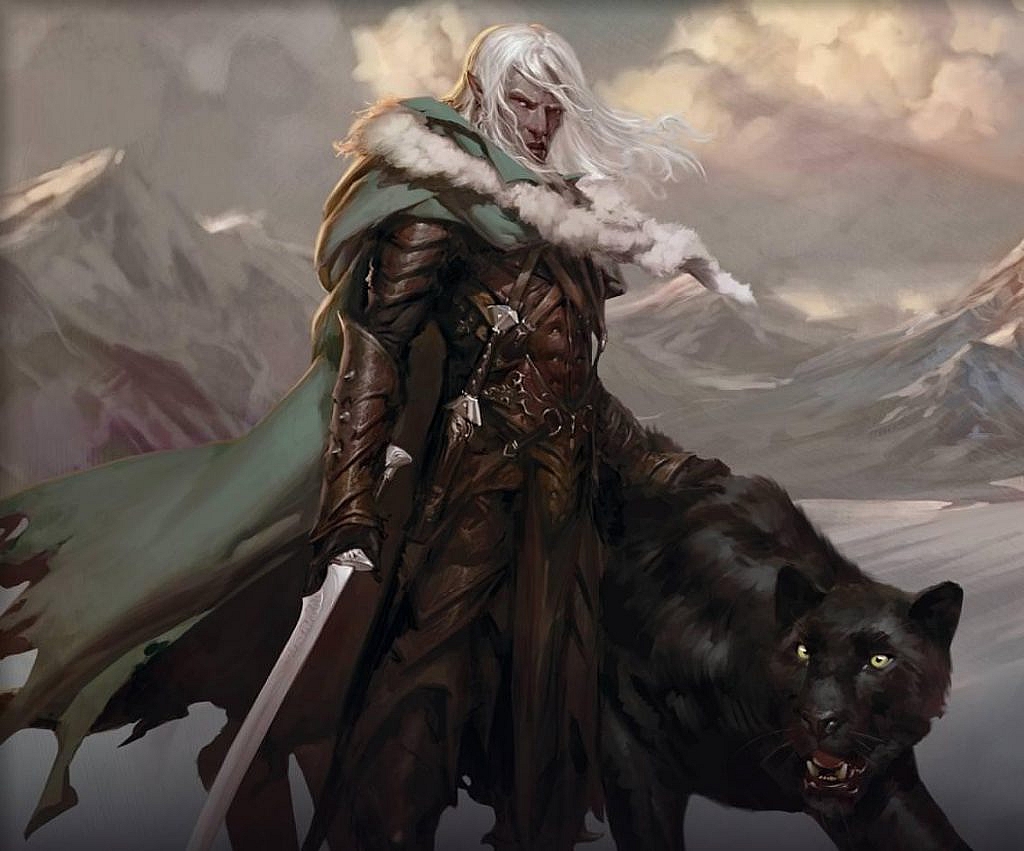 drizzt and guenhwyvar