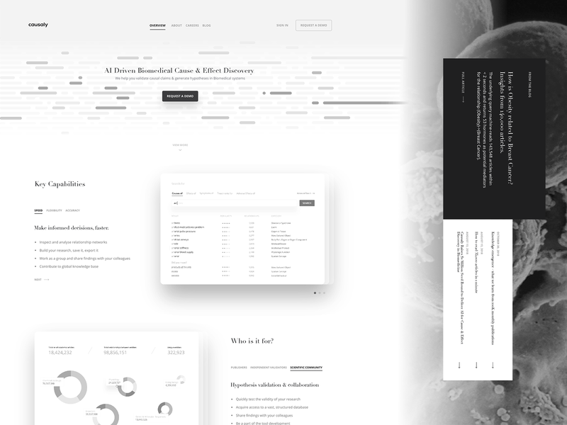 wireframe examples of a website