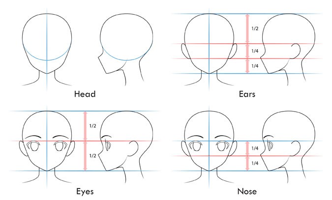 How to Draw Anime Characters: Drawing the Head - Doodling Digitally