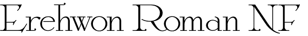 Rehwon Roman NF freeform serif font