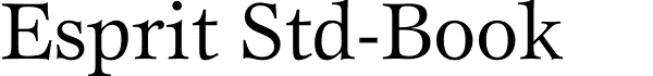 ITC Esprit transitional serif font