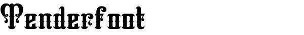 Tenderfoot freeform serif font