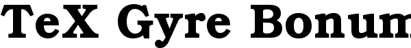 TeXGyreBonum free Clarendon serif font