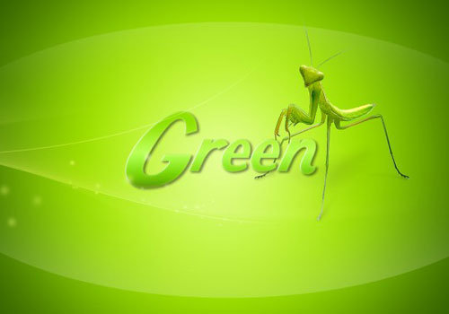 How to make simple gree wallpaper in photoshop