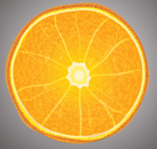 Illustrator Tutorial: Realistic Vector Orange